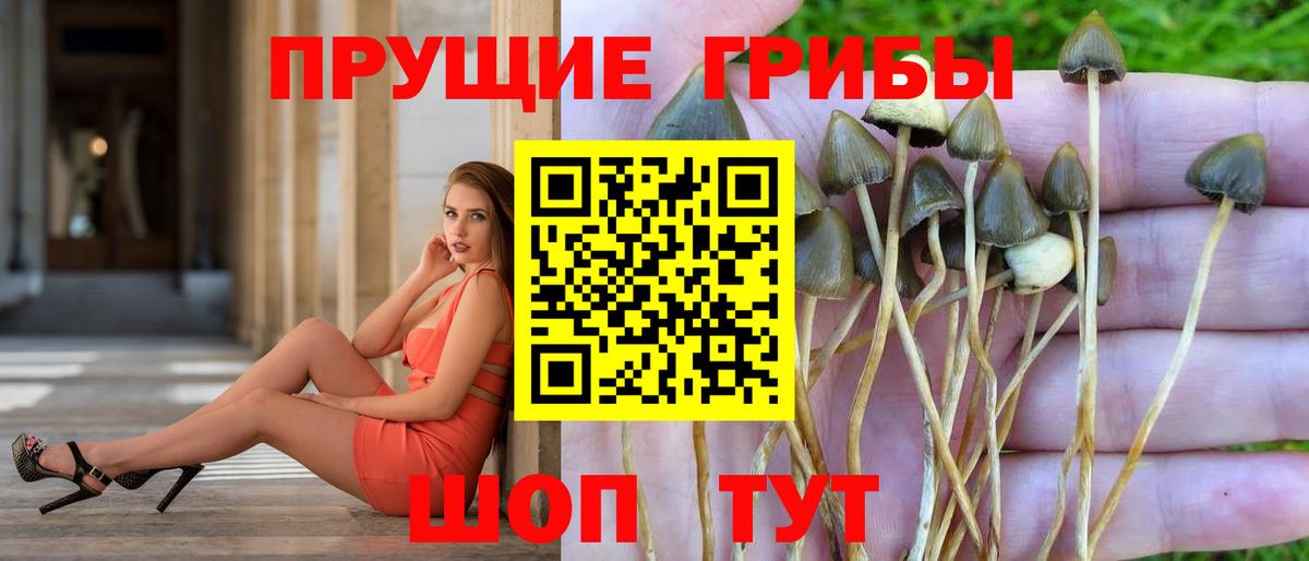 Галлюциногенные грибы Magic Shrooms  Псилоцибиновые грибы ЛСД  Вход с VPN  Зеленогорск 